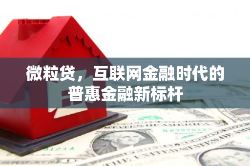 长洲微粒贷，互联网金融时代的普惠金融新标杆