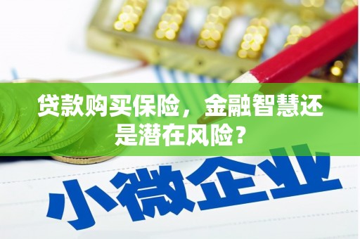 长洲贷款购买保险，金融智慧还是潜在风险？
