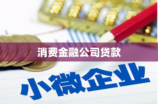长洲消费金融公司贷款