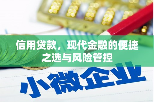 长洲信用贷款，现代金融的便捷之选与风险管控