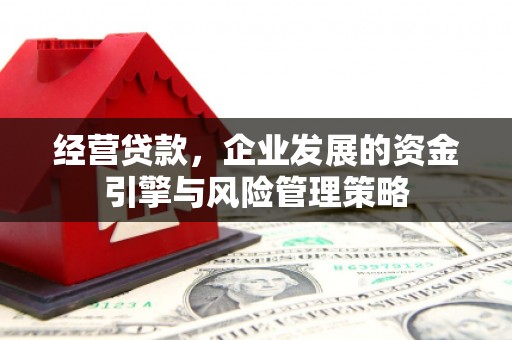 长洲经营贷款，企业发展的资金引擎与风险管理策略