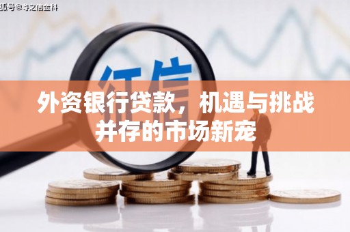 长洲外资银行贷款，机遇与挑战并存的市场新宠