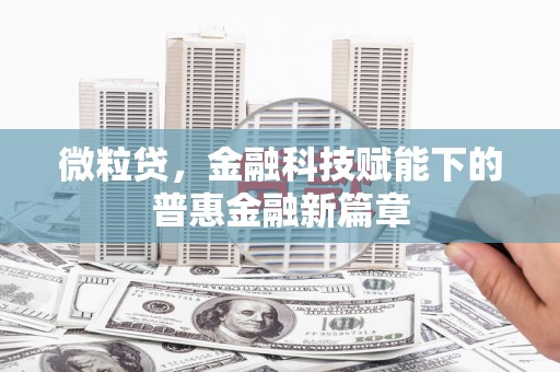 长洲微粒贷，金融科技赋能下的普惠金融新篇章