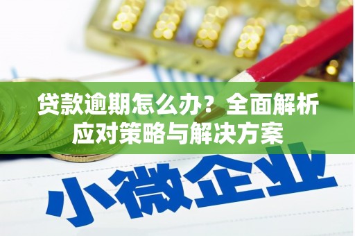 长洲贷款逾期怎么办？全面解析应对策略与解决方案