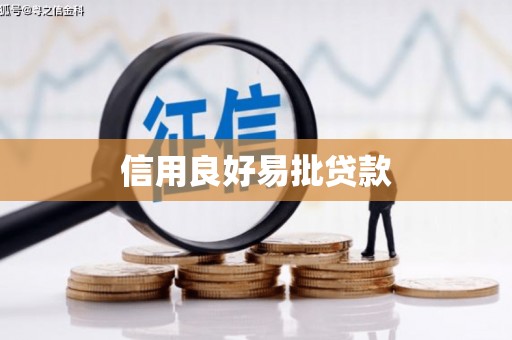 长洲信用良好易批贷款
