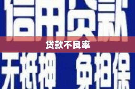 长洲贷款不良率