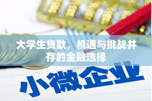 长洲大学生贷款，机遇与挑战并存的金融选择
