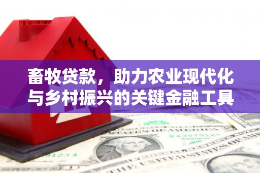 长洲畜牧贷款，助力农业现代化与乡村振兴的关键金融工具