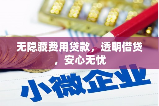 长洲无隐藏费用贷款，透明借贷，安心无忧