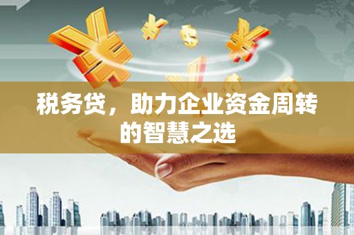 长洲税务贷，助力企业资金周转的智慧之选