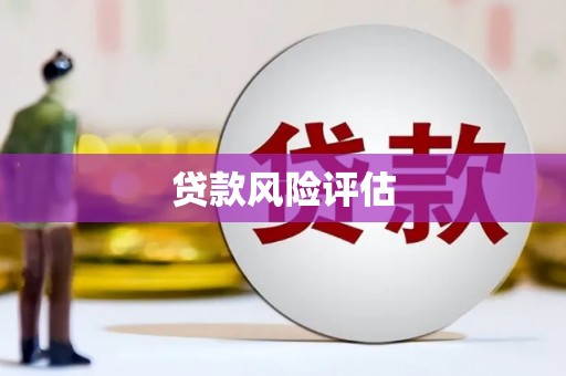 长洲贷款风险评估