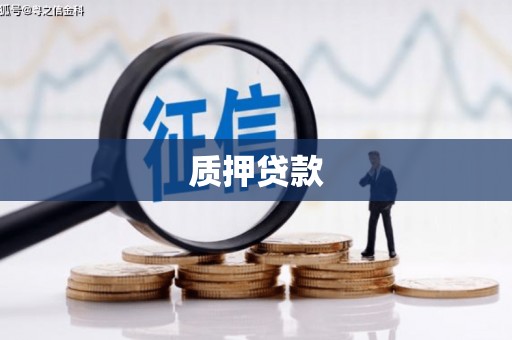 长洲质押贷款