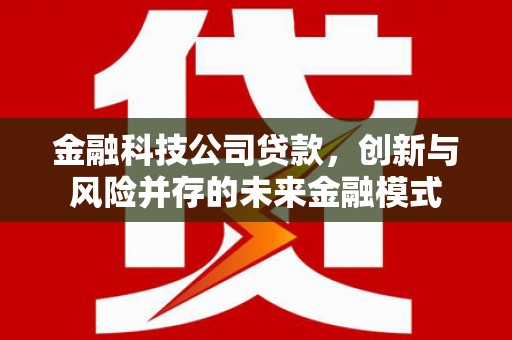 长洲金融科技公司贷款，创新与风险并存的未来金融模式
