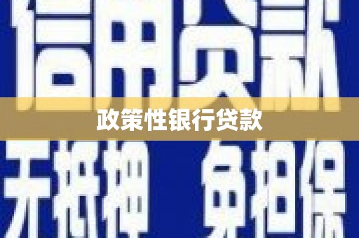 长洲政策性银行贷款