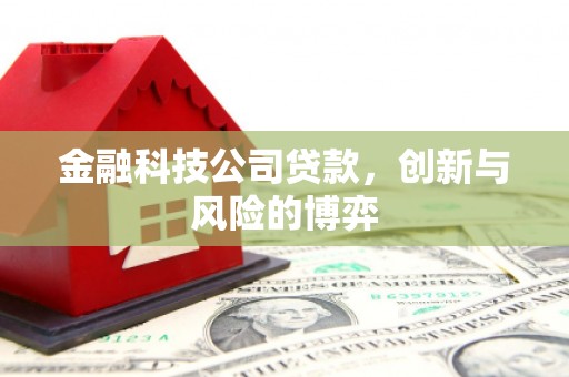 长洲金融科技公司贷款，创新与风险的博弈