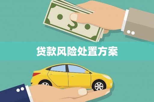 长洲贷款风险处置方案