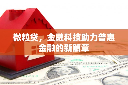长洲微粒贷，金融科技助力普惠金融的新篇章
