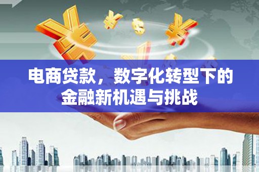 长洲电商贷款，数字化转型下的金融新机遇与挑战