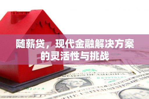 长洲随薪贷，现代金融解决方案的灵活性与挑战