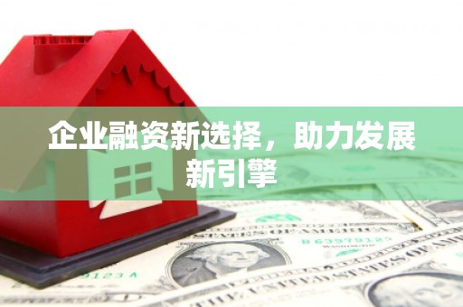 长洲企业融资新选择，助力发展新引擎