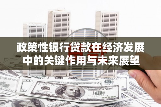 长洲政策性银行贷款在经济发展中的关键作用与未来展望