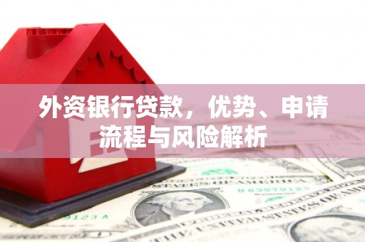 长洲外资银行贷款，优势、申请流程与风险解析