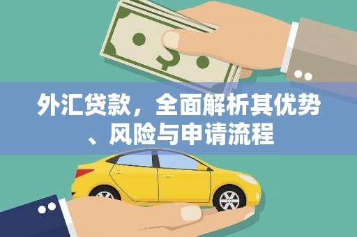 长洲外汇贷款，全面解析其优势、风险与申请流程