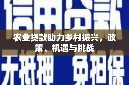 长洲农业贷款助力乡村振兴，政策、机遇与挑战