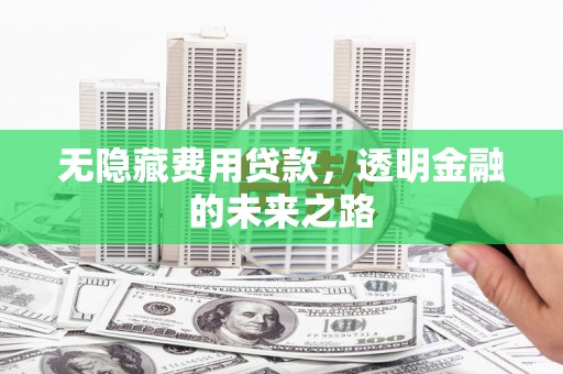 长洲无隐藏费用贷款，透明金融的未来之路