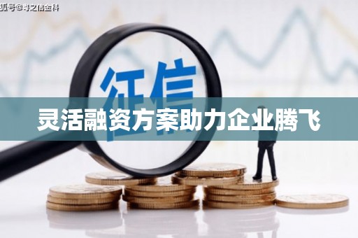 长洲灵活融资方案助力企业腾飞