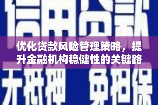 长洲优化贷款风险管理策略，提升金融机构稳健性的关键路径