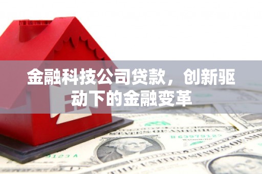 长洲金融科技公司贷款，创新驱动下的金融变革