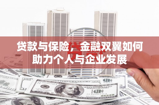 长洲贷款与保险，金融双翼如何助力个人与企业发展