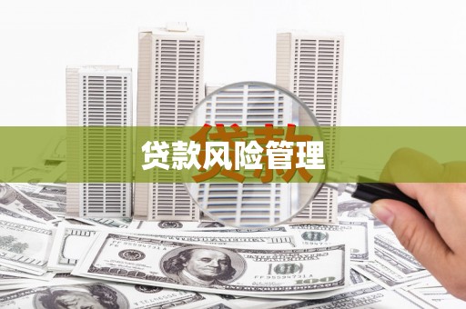 长洲贷款风险管理