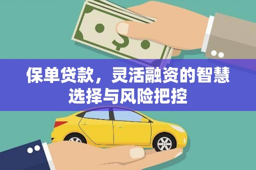 长洲保单贷款，灵活融资的智慧选择与风险把控