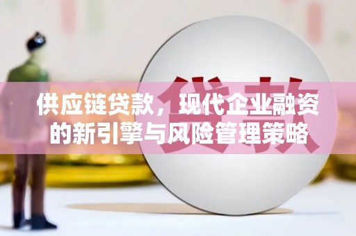 长洲供应链贷款，现代企业融资的新引擎与风险管理策略