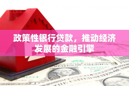 长洲政策性银行贷款，推动经济发展的金融引擎