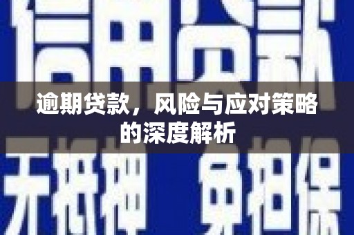 长洲逾期贷款，风险与应对策略的深度解析