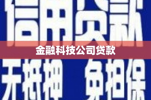 长洲金融科技公司贷款