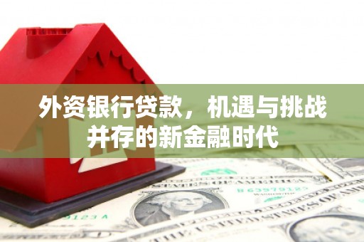 长洲外资银行贷款，机遇与挑战并存的新金融时代