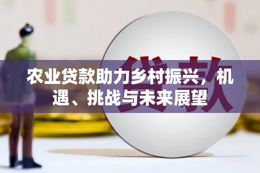 长洲农业贷款助力乡村振兴，机遇、挑战与未来展望