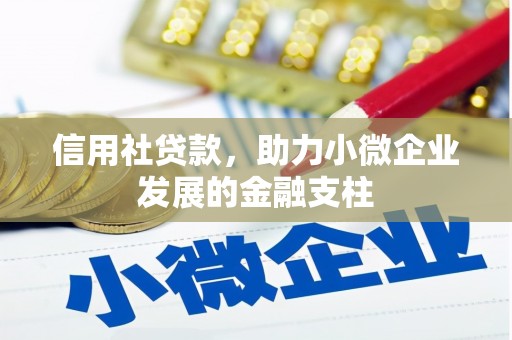 长洲信用社贷款，助力小微企业发展的金融支柱