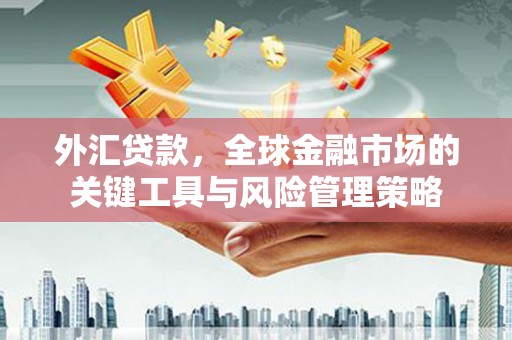 长洲外汇贷款，全球金融市场的关键工具与风险管理策略
