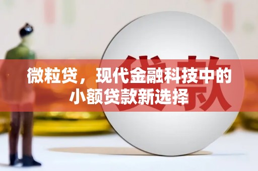 长洲微粒贷，现代金融科技中的小额贷款新选择