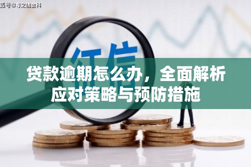 长洲贷款逾期怎么办，全面解析应对策略与预防措施