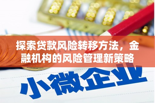 长洲探索贷款风险转移方法，金融机构的风险管理新策略