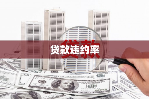 长洲贷款违约率