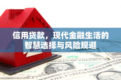 长洲信用贷款，现代金融生活的智慧选择与风险规避