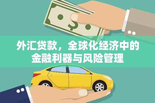 长洲外汇贷款，全球化经济中的金融利器与风险管理