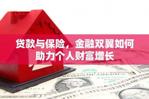 长洲贷款与保险，金融双翼如何助力个人财富增长
